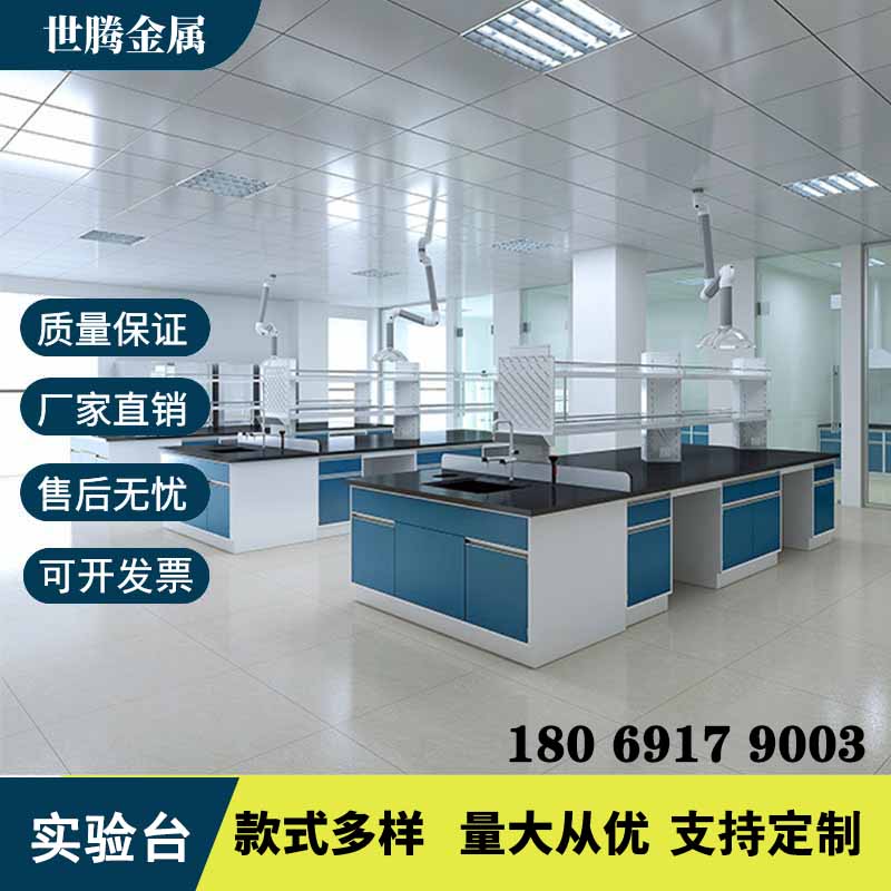 Laboratory Bench Steel Wood Experimental Bench Pp Full Steel Operating Table Test Room Central Sink Experimental Table Ventilation Closet