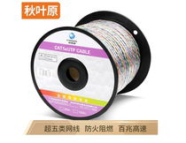 Shenzhen Qiu Leaf Original Ultra Five Type Transparent Flame Retardant Engineering Home Office Computer Monitoring Network Cable Non-Shield