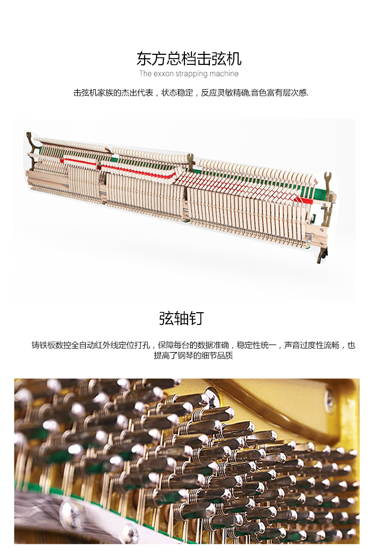 BARROCO German Craft Người lớn Chuyên nghiệp Chơi Người mới bắt đầu Trang chủ Thương hiệu Real Piano đàn piano điện