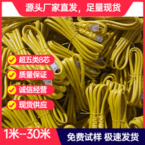 Computer Finished Wire Pair Twisted Pair Ultra Five 5 Class one thousand trillion Telecom Cat Set-top Box Home Network Cable 1 m Network Line