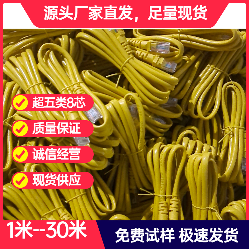 Computer Finished Product Connection Cable Twisted Pair Category 5E Gigabit Telecom Modem Set-Top Box Home Network Cable 1m Network Cable