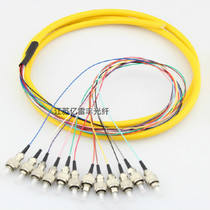 Carrier-grade 12-core single-mode 10 Gigabit multi-mode bundle pigtail LC SC FC ST bundle ODF disc bundle pigtail