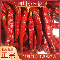 Special Spicy Aroma Millet Peppers Dried Chili Red Pepper 50 gr edible Sichuan special to produce new goods