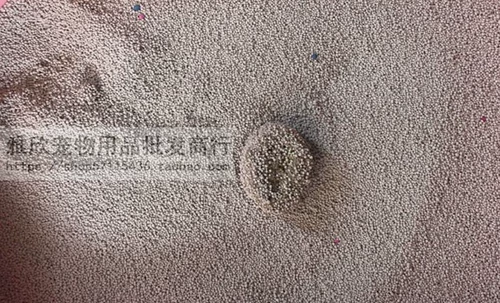 Spot Pandora Cat Sand Sand Deam Demail, стерилизация, дезодоризация, поглощение воды, хороший кошачий песок Земля Sand 10l Бесплатная доставка