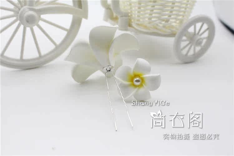 Accessoire cheveux en autre - Ref 1199797 Image 46