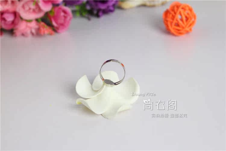 Accessoire cheveux en autre - Ref 1199797 Image 41