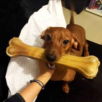 Big dog molars cowhide bone golden hairy small and large dogs resistant to biting molars bone dog bones