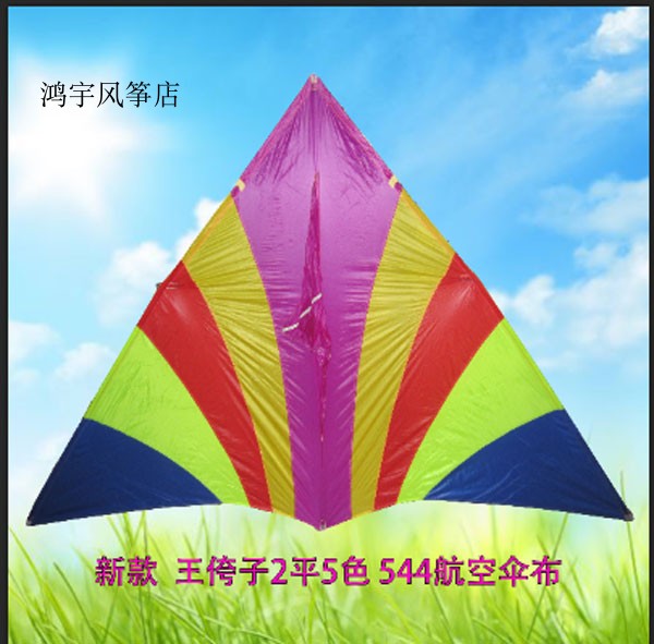 2019 new king of kings 2 flat 5 color triangular kite breeze kite  
