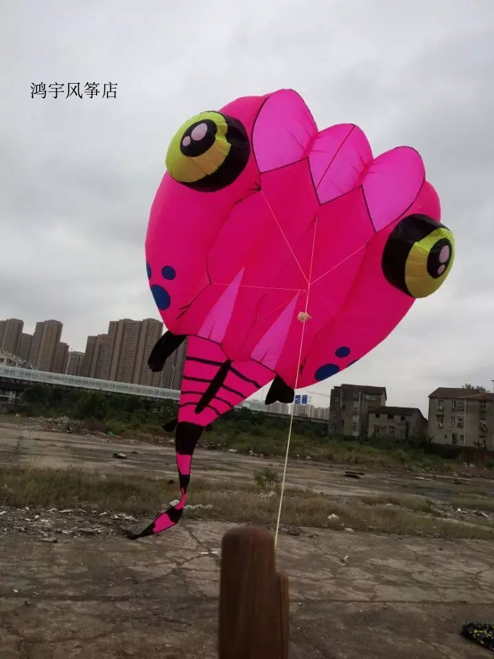 2020 New horse's old four tadpole software kite Weifang software kite