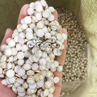 Белая керамика толщиной 8 мм с золотой каймой, 30 штук.