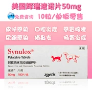 Mèo Sinuo 50mg mèo viêm mũi xoang chó ho lạnh chống viêm 10 viên Pfizer synulox sinuo cat - Cat / Dog Medical Supplies