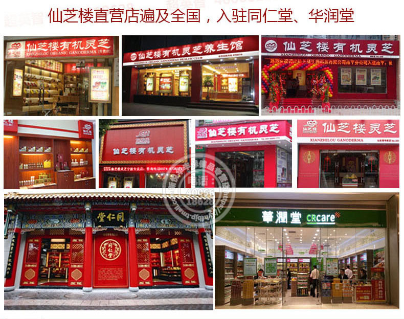 5 chai +] Tong Ren Tang trà Xianzhilou thương hiệu nấm linh chi bột bào tử nang 0.3g / viên * 90 * 4 chai sản phẩm chăm sóc sức khỏe - Thực phẩm sức khỏe viên uống tảo biển
