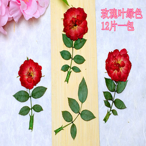 Rose Leaf Embossing Drop Glue Drying Flowers Flowers Materials Diyflower Ingredients Plant Teaching Dried Flower Specimens Natural Real Flowers