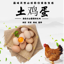 Natural and pollution-free Authentic rural farmers wild alpine free-range loose chicken soil eggs fresh and high nutritional value