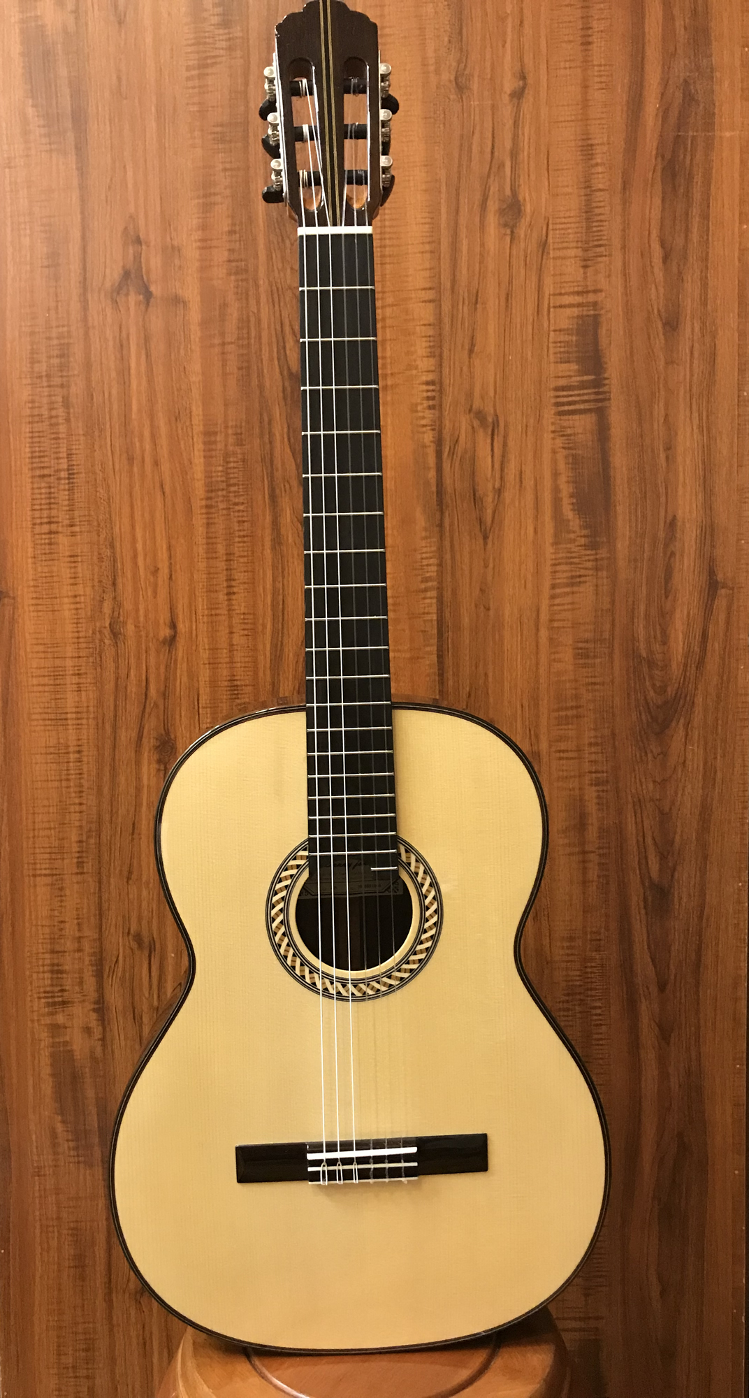 Danny Ginger Son Classical Guitar (G20)