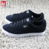 Giày thể thao nữ chính hãng Puma / Hummer chính hãng Đài Loan mùa thu thấp để giúp giày chống lông 364621-01