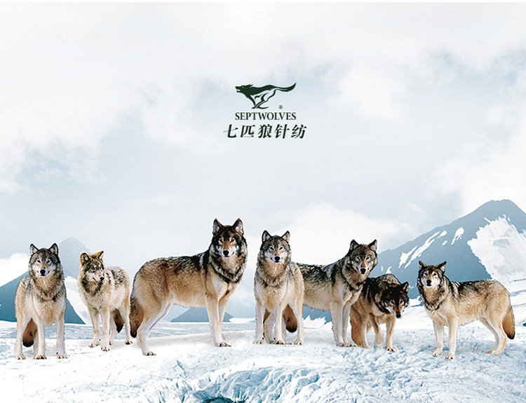 Chaussettes - collants SEPTWOLVES - Ref 776325 Image 22