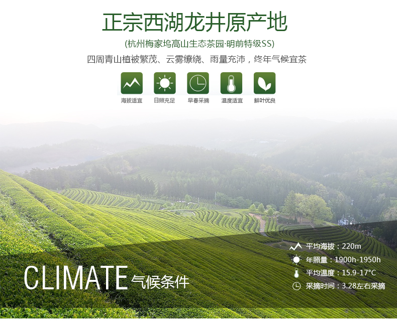 123 38 19 Royal Brand West Lake Longjing Tea Super Class Longjing 00 Royal Xizi 250g High Grade Gift Box Before Ming Dynasty From Best Taobao Agent Taobao International International Ecommerce Newbecca Com
