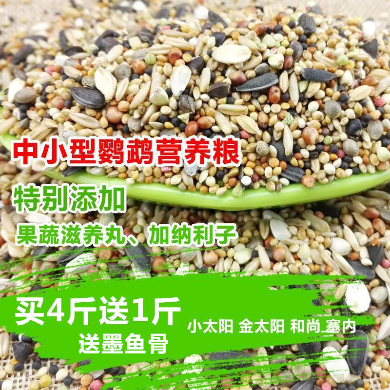 Golden Sun Monk Parrot Cockatoo Grain Seine Small Sun Bird Food Small And Medium Size Bird Grain Nourishing Pill Mixed Feed 500g