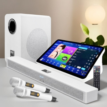 Qisheng new home living room singing karaoke echo wall audio with subwoofer set tv ktv home with bluetooth