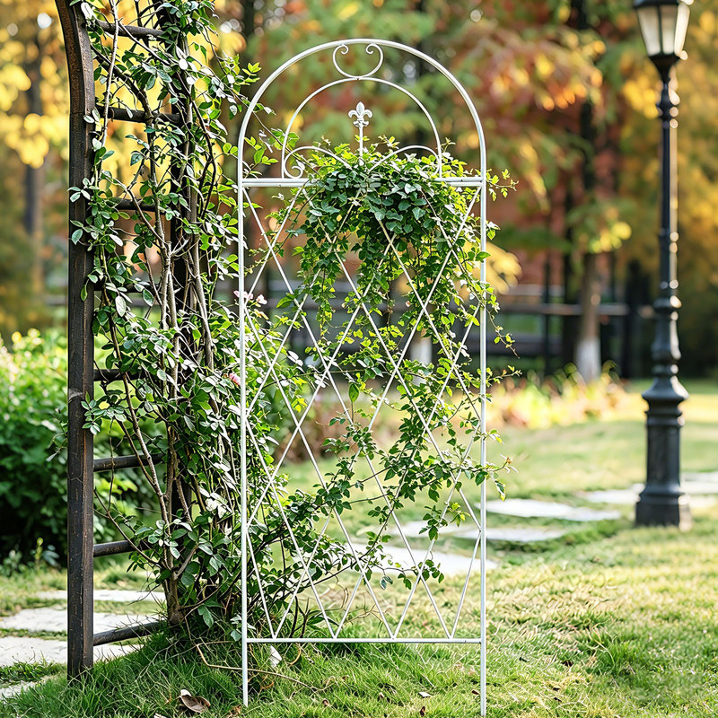 Garden Wrought Iron Climbing Trellis for Roses, Clematis, and Other Climbing Plants for Balcony, Outdoor Courtyard, and Wall