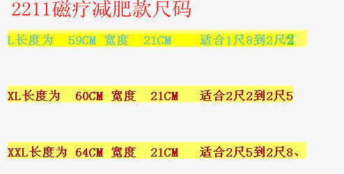 Corset en polyester - Ref 676497 Image 27