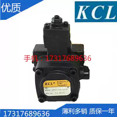 KCL Vane pump VPKC-F40 F20 F12 F30 F8-A3 A4 A0 A1 VPKCF2020