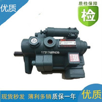 pc Xuhong P08-A3-F-R-01P08-A2-F-R-01P08-A1-F-R-01 Piston pump