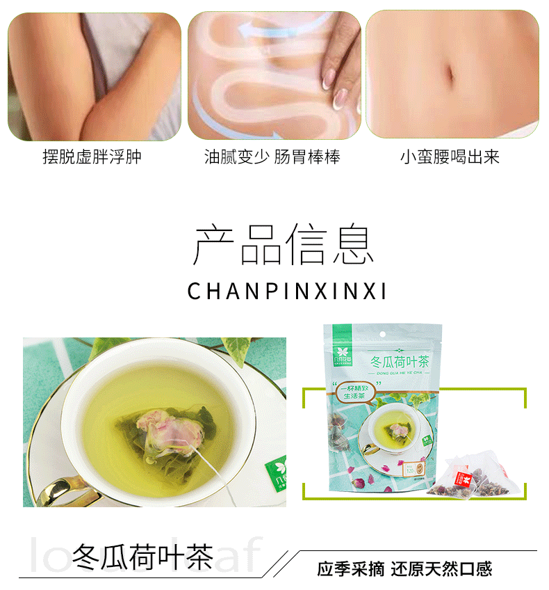 【几何】冬瓜荷叶茶袋装