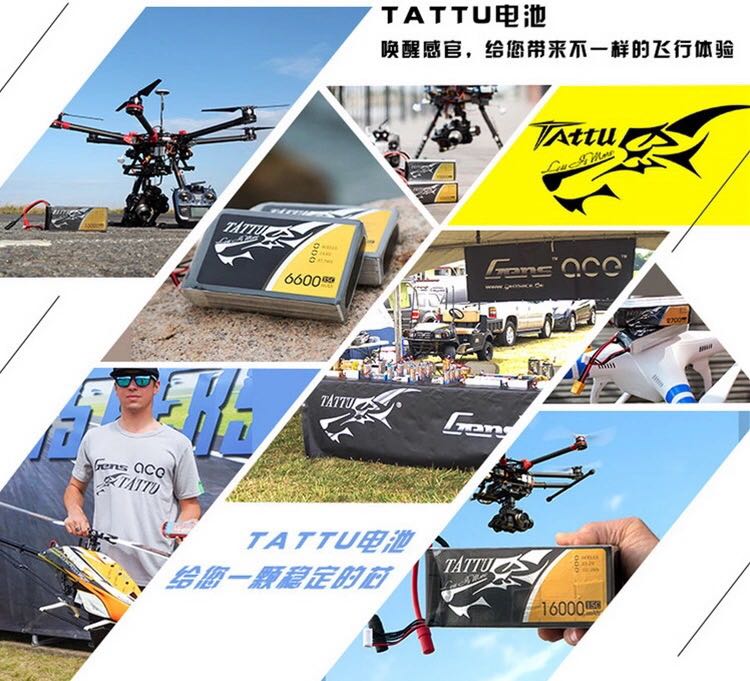 Định dạng Grignard ACE TATTU 22000mah 6s 22.2v 25c mô hình pin bảo vệ thực vật trên không - Mô hình máy bay / Xe & mô hình tàu / Người lính mô hình / Drone xe tăng đồ chơi