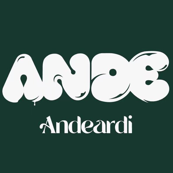 ANDE线上店