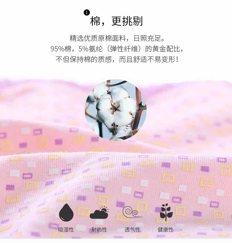 Slip jeunesse HALISSTRA en coton - Ref 646306 Image 8