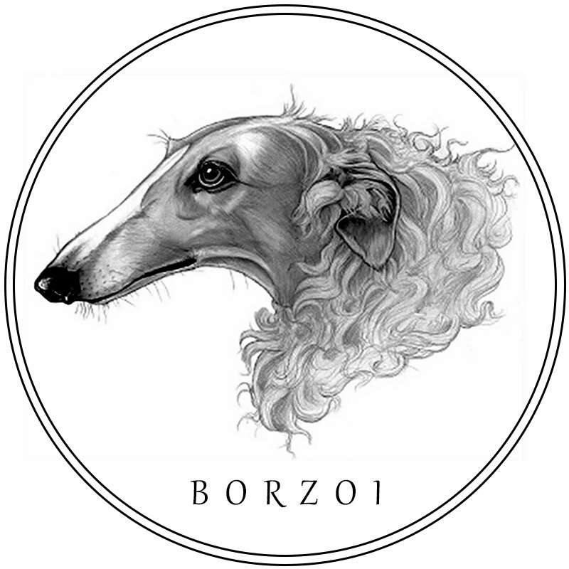 龙哥苏俄猎狼的LOGO