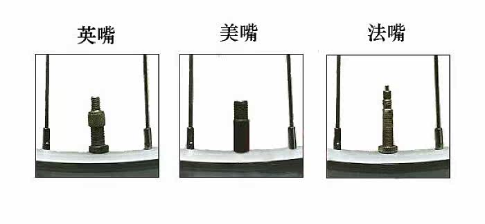 Pompe à vélo BETO - Ref 2389059 Image 3