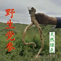 Shenxian Shenshan Cai Couging Courging Corporation Копание старая вечеринка женьшень дикий свежий кодонопсис 1 кусок 500 грамм бесплатной доставки пятна скорости.