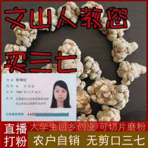 Wenshan San Seven Cuttless Spring 18 head 20 head 30 head 30 field of wild Chinese medicine 500g