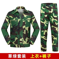 Обычный травяной зеленый костюм [топ+брюки]