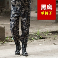 Камуфляжные штаны, черный орел