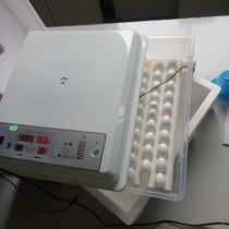 Incubator fully automatic incubator household incubator small fully automatic incubator incubator equipment incubator