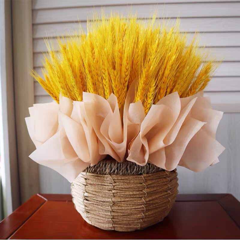 Natural wheat ear dried flower opening barley immortal flower basket pastoral decoration ornaments photography flower arrangement opening barley dried flower