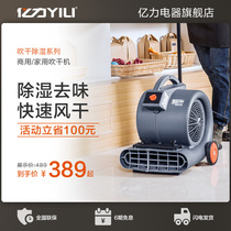 Yili vacuum cleaner hair dryer blower powerful high-power car wash shop ground artifact barrel commercial multi-function