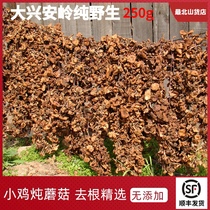 Northeast hazelnut mushroom dried goods Wild mushroom mushroom chicken stewed mushroom mushroom mushroom ingredients Daxinganling premium local products