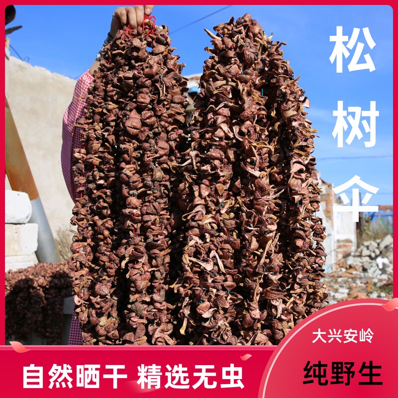 North East Red Mushroom Pine Umbrella Mushroom Pine Umbrella Mushroom Meat Mushroom Red Pine Mushroom Dry Goods Wild Pine Mushroom Special-red Mushrooms