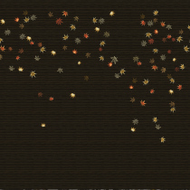 Nanjing Fengting--brown and black