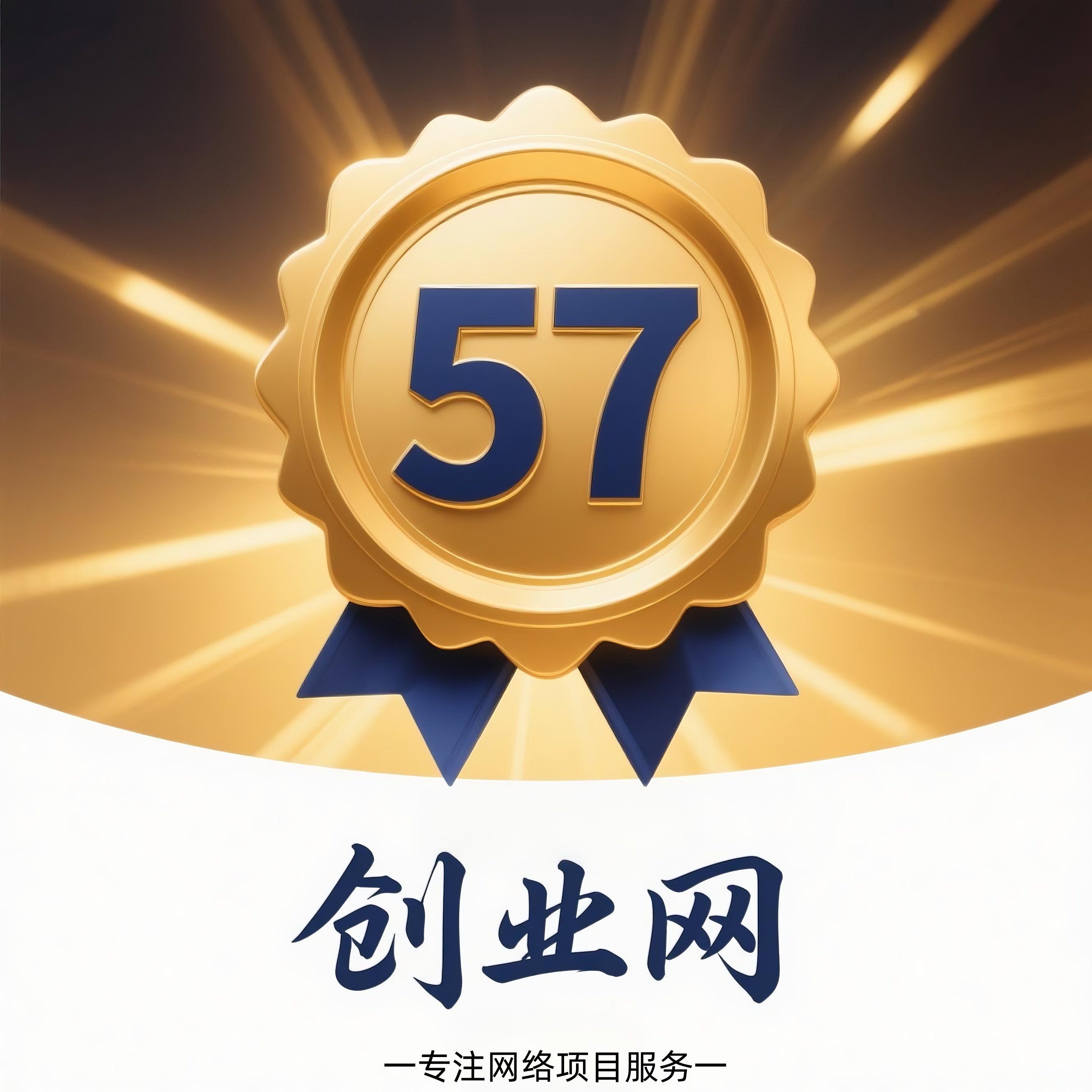 57创业网店