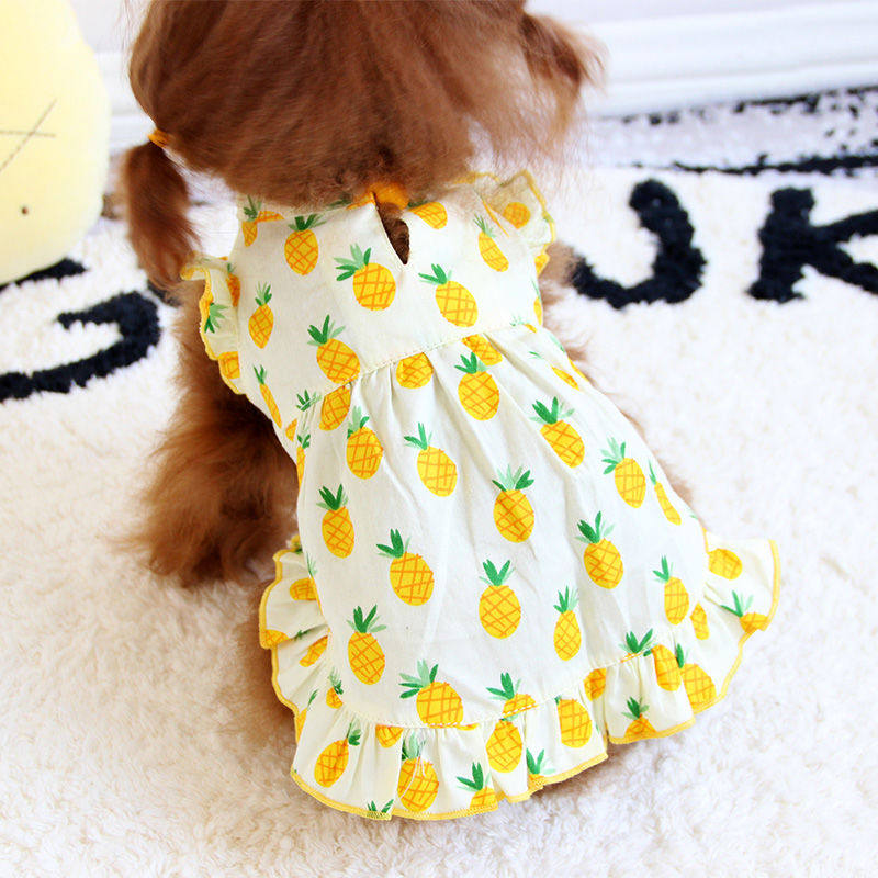 Internet celebrity pineapple skirt puppy dog ​​clothes spring Teddy cat pet small dog Pomeranian Bichon spring and autumn thin
