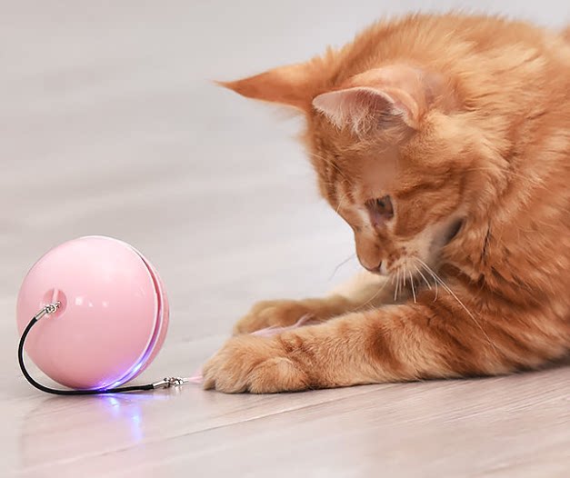 Electric boredom cat toy self-healing ball feather bells bite-resistant color chicken feathers automatic cat teaser kitten supplies