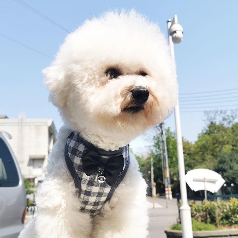 Dog traction rope vest type baby bag small and medium dog walking dog rope Teddy Corgi Bomei French fighting pet supplies