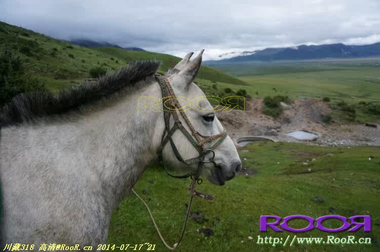 Gants pour vélo - Ref 2247996 Image 271