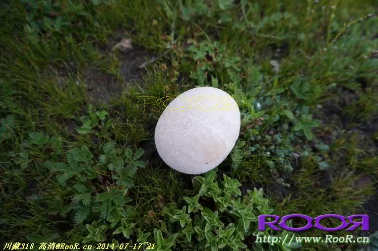 Gants pour vélo - Ref 2247996 Image 245